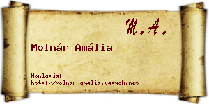 Molnár Amália névjegykártya