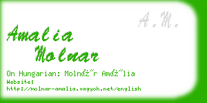 amalia molnar business card